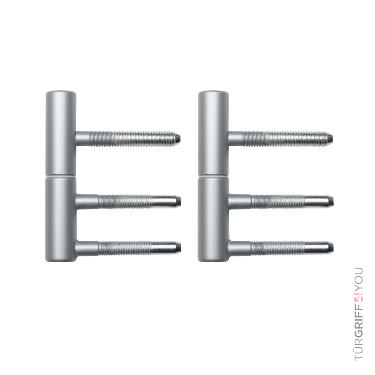 Türbänder-Set 2 tlg. für Holzzargen Platingrau