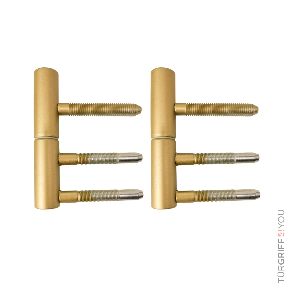 Türbänder-Set 2 tlg. für Holzzargen Gold