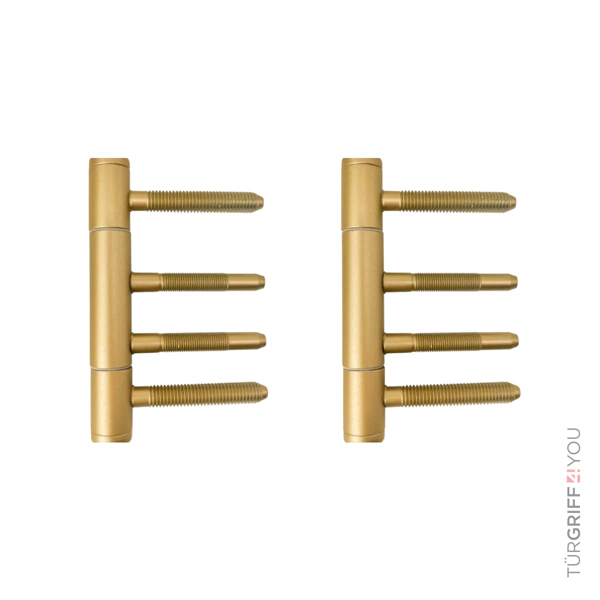 Türband 3 tlg. für Holzzargen Gold