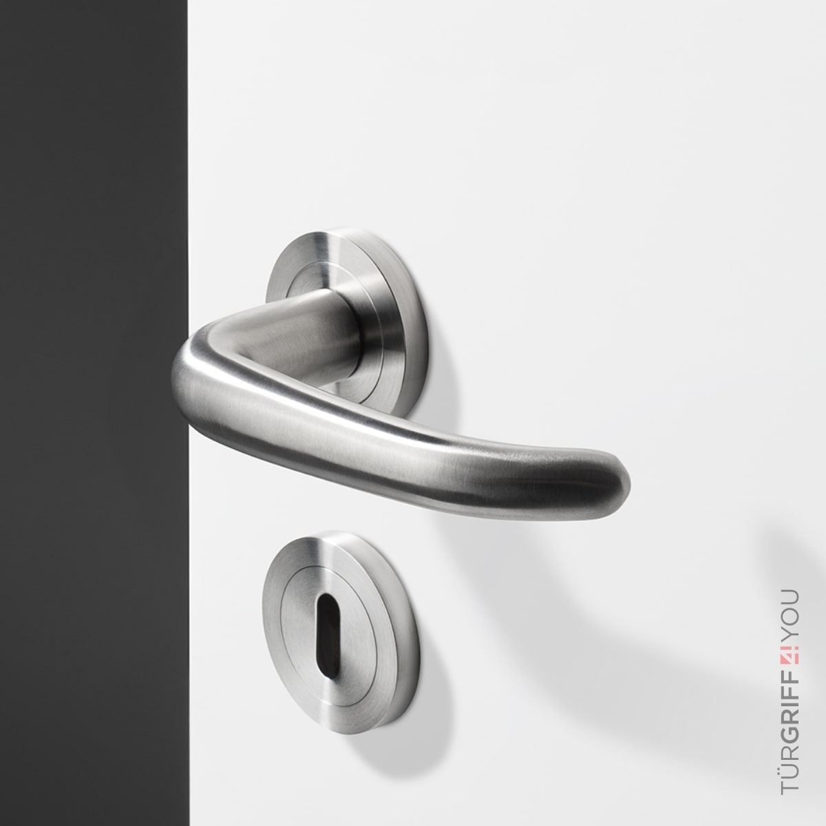 Türgriff Linea Pro aus Edelstahl