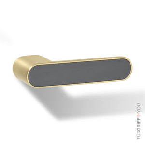 smart2lock Türgriff Forma gold mit inlay grau