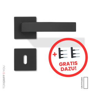 Türgriffe Nero Line Buntbart mit Türbänder