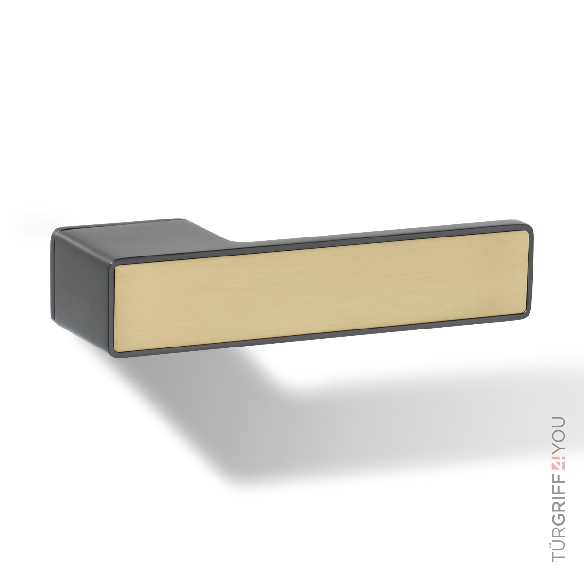 Türgriff Forma Q Graphitgrau mit Gold-Inlay