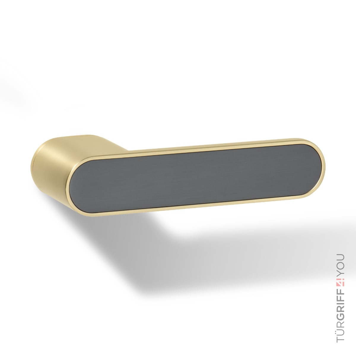Türgriff Forma R Gold mit Graphitgrau-Inlay