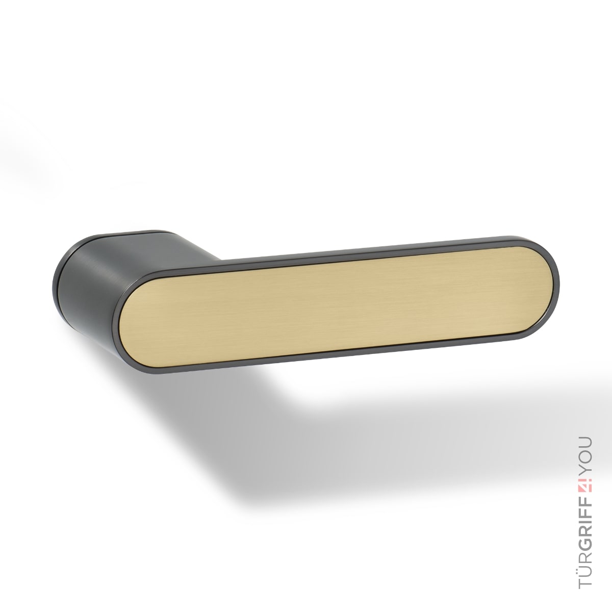 Türgriff Forma R Graphitgrau mit Gold-Inlay
